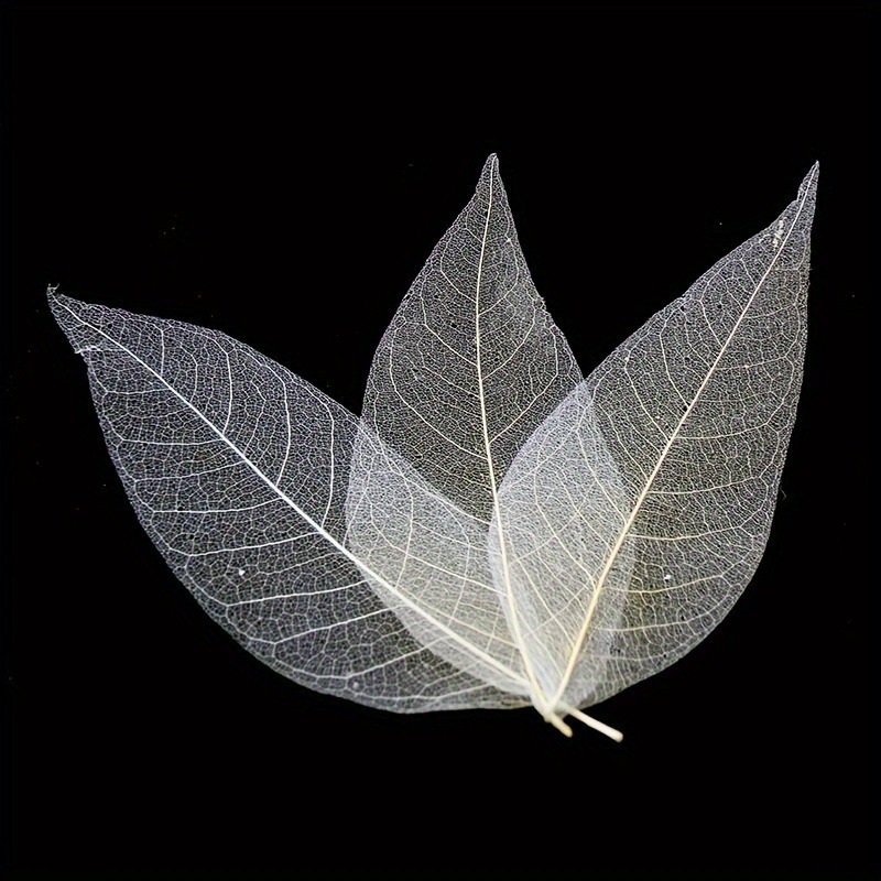 10pcs Art Deco Wooden Leaf Vei – Art Craft Leaves Bewertung und Preis