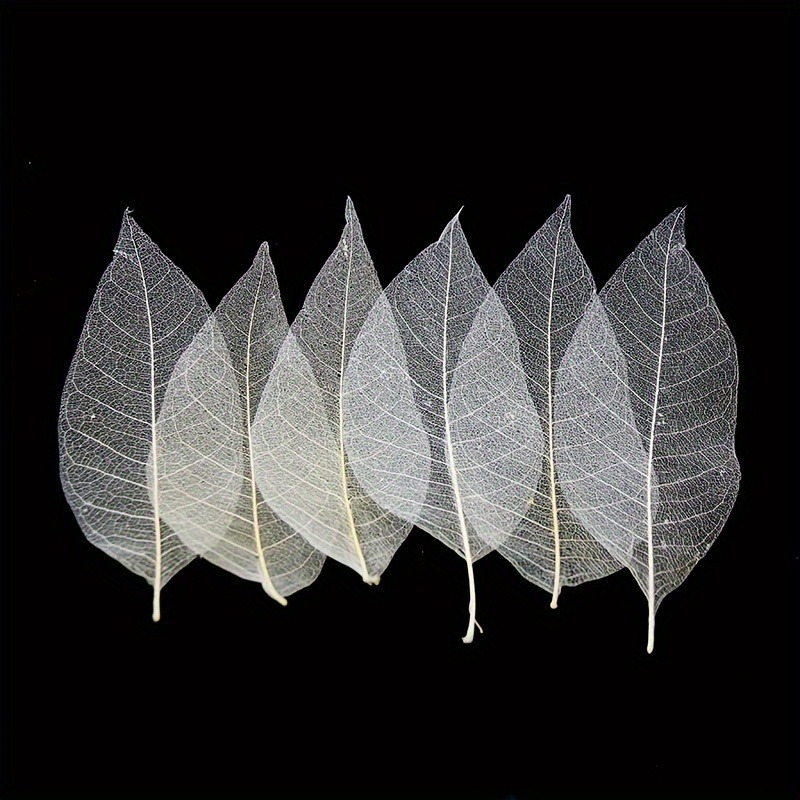 10pcs Art Deco Wooden Leaf Vei – Art Craft Leaves Bewertung und Preis