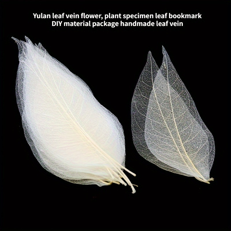10pcs Art Deco Wooden Leaf Vei – Art Craft Leaves Bewertung und Preis