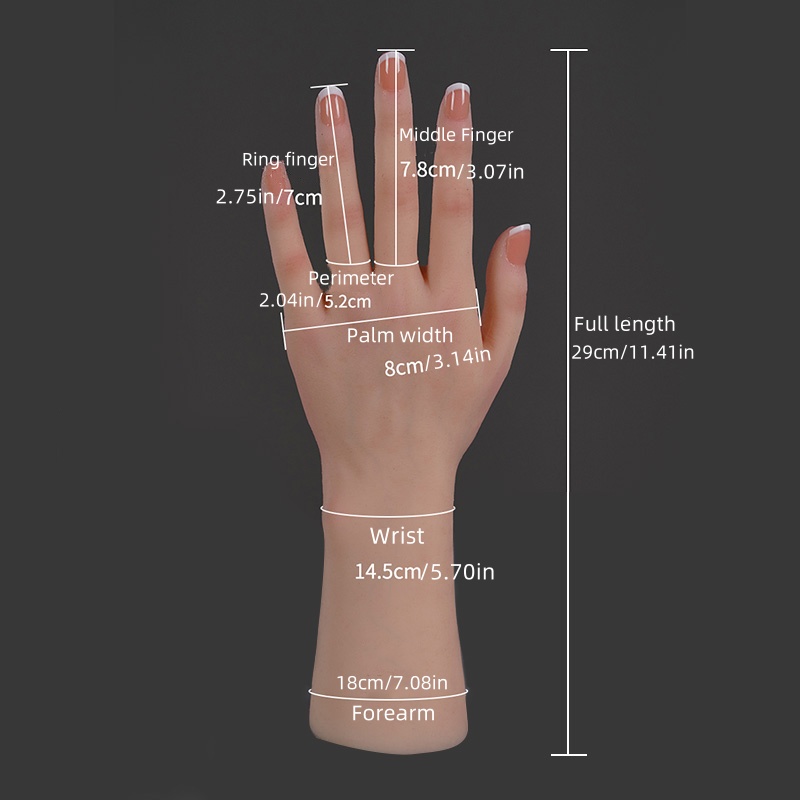Realistic Silicone Replica of  – Art Craft Display Bewertung und Preis