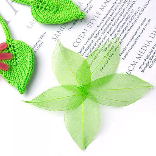 Natural Catbrier Skeleton Leav – Art Craft Leaves Bewertung und Preis