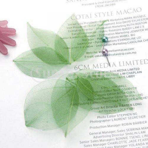 Natural Catbrier Skeleton Leav – Art Craft Leaves Bewertung und Preis