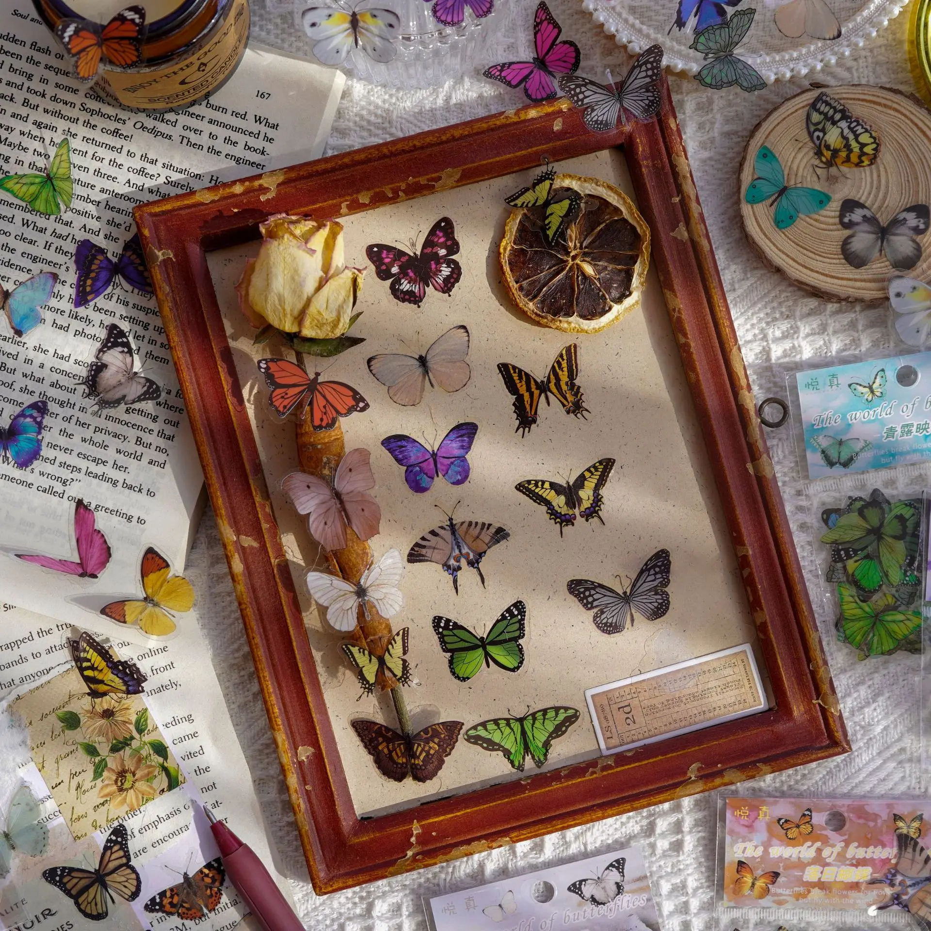 Journamm 40pcs/pack Butterfly  – Art Craft 3 Year Old Bewertung und Preis